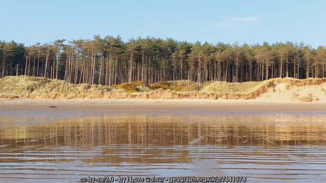 Sand dunes at Llanddwyn Beach, reflected light on the sheltered western face of the dune field.